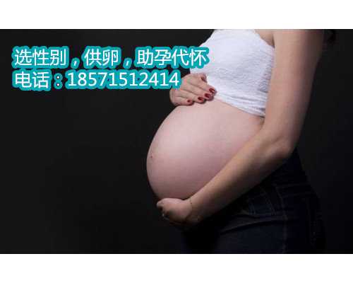 山东民间试管供卵助孕中心,生育医疗费待遇标准